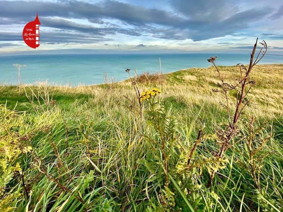 Villa Saint Jacques, Appart La Mer Le Tréport Exteriér fotografie